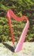 "Adaryn" 	23-string harp