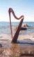 "Adaryn" 23 string harp