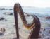 "Olwen" 36-string harp