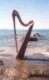 "Rhonwen" 32-string harp