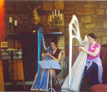 "Stirling" 39-string harp