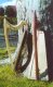 "Susan" 19-string harp